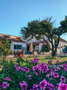 a garden with pink flowers in front of a house at Montijo Garden - Alojamento Rural in Montijo