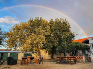 a rainbow in the sky with tables and chairs under a tree at Montijo Garden - Alojamento Rural in Montijo +24 photos
