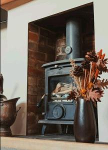 Eine Vase mit Blumen vor einem Herd in der Unterkunft Charming 2 Bedroom Cottage mid town on quiet road in Sudbury + 8 Fotos