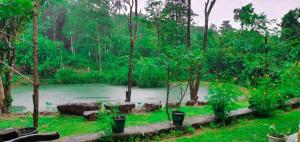 a view of a river in a forest with trees at Ranpokuna Bungalow with 3 Bed Rooms in Kiriella