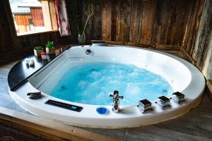 jacuzzi z psem w środku w obiekcie Chalet La Plagne jacuzzi vue top w mieście Montchavin +15 zdjęć