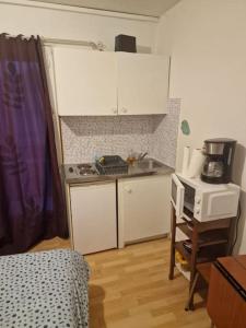 a small kitchen with a sink and a microwave at appartement une chambre Champigny-sur-Marne in Nogent-sur-Marne