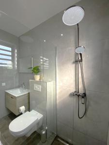een badkamer met douche, toilet en wastafel bij Villa Cabana Mambo Beach in Willemstad