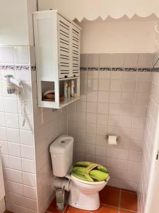 a bathroom with a toilet with a green lid at Frangipanier mer et piscine in Saint-François +9 photos