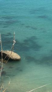 Paesaggio naturale nelle vicinanze della casa vacanze