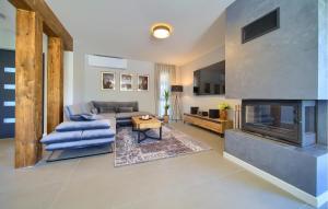 VrhにあるStunning Home In Vrh With Saunaのソファと暖炉のあるリビングルーム