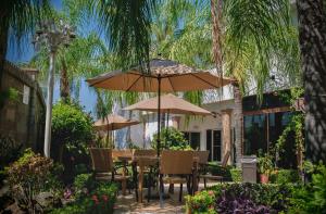 Zahrada ubytování Hotel Maioris Kumate Culiacán