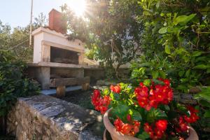 Vonkajšia záhrada v ubytovaní Seaside holiday house Cove Zarace - Gdinj, Hvar - 2048