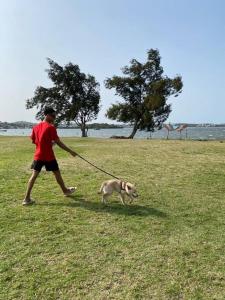 a man walking a dog on a leash at Porto Allegra in Cabo Frio