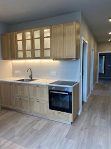 a kitchen with wooden cabinets and a sink at Erobik Apartments in Höfn