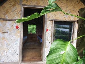 a doorway to a house with a large green plant at island paradise bungalows in Lankourou