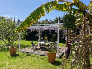 Zahrada ubytování Pa Road B&B Kerikeri NZ