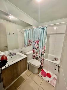 une salle de bain avec toilettes, lavabo et douche dans l'établissement Depto Maximo en condominio central 3D 1B Parking Excelente Conectividad,Atención Empresas-Facturas, à Chillán