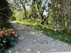 Zahrada ubytování Pa Road B&B Kerikeri NZ