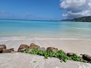 Afbeelding uit fotogalerij van A Peace In Paradise in Baie Lazare Mahé
