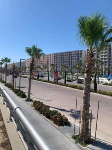 a palm tree on a sidewalk next to a street at Porto golf Alamein in El Alamein