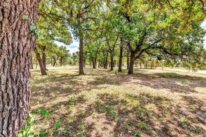 a park with a lot of trees and grass at Pecan Farm Haus in Fredericksburg