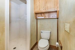 une petite salle de bain avec toilettes et douche dans l'établissement Appian Way Oliva Cottage, à Fredericksburg 7 autres photos