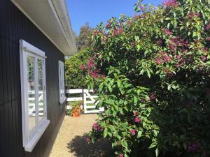 Zahrada ubytování Pa Road B&B Kerikeri NZ