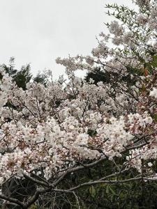 Mynd úr myndasafni af 一棟貸し農家民宿ひなた í Kawaramachi