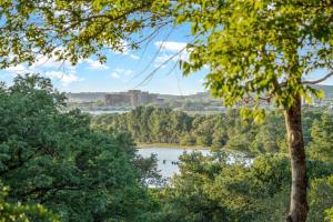 Gallery image of Guadalupe Bluff Bunk House in Kerrville