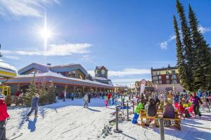 Dwight Out Chalet with Hot Tub v zimě