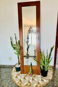 a mirror with potted plants in a room at Suite casal com frigobar in Belo Horizonte