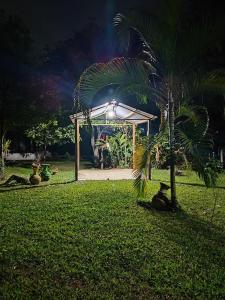 Peña BlancaにあるCasa de campo en la naturalezaのヤシの木のある公園内の展望台