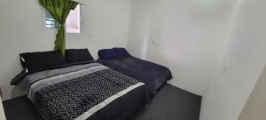 1 dormitorio con 1 cama y una planta en la pared en Casa IRKEN, en San Pablo Apetatitlán