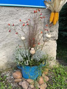 Zahrada ubytování Apartmán U Růži
