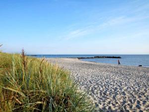 Naturlandskabet i nærheden af feriehuset