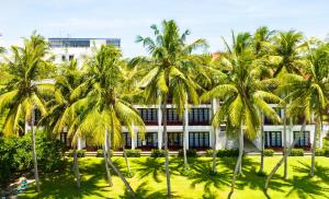 a group of palm trees in front of a building at River Beach Resort & Residences in Hoi An