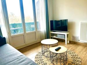 TV a/nebo společenská místnost v ubytování Les quais, Vue fleuve, Proche Gare & Parking Privé