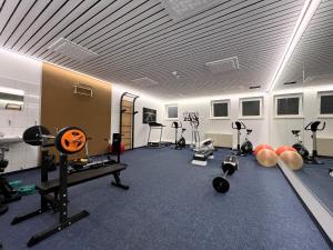 Fitness centrum a/nebo fitness zařízení v ubytování Traumzeit B14 Montana Haus
