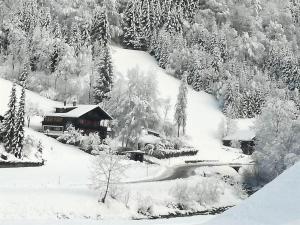 Zudrellhus semasa musim sejuk