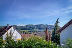 a view of a town with mountains in the background at Fewo Bodenseeoase in Wangen