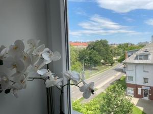 Okolí apartmánu