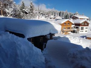 Chalet Heinzenberg v zimě