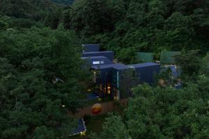 花都广州花都爱树·蝶的森林民宿的森林中一栋建筑的鸟瞰图