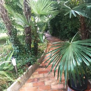 a brick path in a garden with palm trees at Secret Garden Apartment Center Opatija with private parking space in Opatija