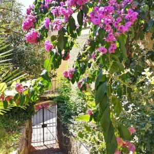 a bunch of purple flowers in a garden at Secret Garden Apartment Center Opatija with private parking space in Opatija