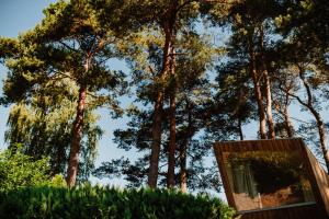 WustrowTiny Houses & Schwedenhäuser Ahoi Camp Canow的树前的镜子