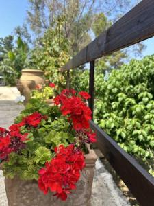 Giardino di Casetta a Cavarretta