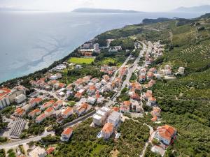 an aerial view of a town on a hill next to the water at Apartments Villa Katarina in Tučepi