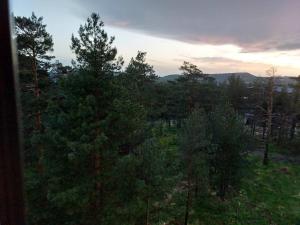 Príroda v okolí apartmánu