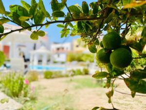 Πισίνα στο ή κοντά στο Happiness Villa Majawish, close to the city center