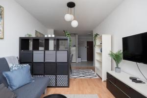 Televízia a/alebo spoločenská miestnosť v ubytovaní Wola Lavish Apartment