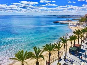 a view of a beach with palm trees and the ocean at Villa Corazon in Torrevieja