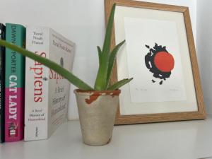 a plant in a vase next to books at Habitación de invitados Casa Lume in Tahiche