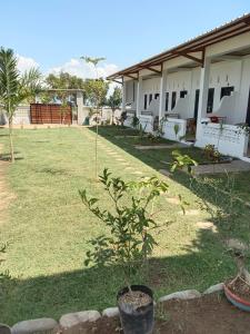 a plant in a pot in the yard of a house at Compass Homestay in Huu